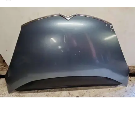 Engine bonnet/hood