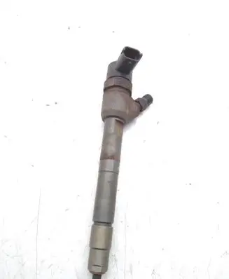 Hyundai ix35 Fuel injector 0445110374