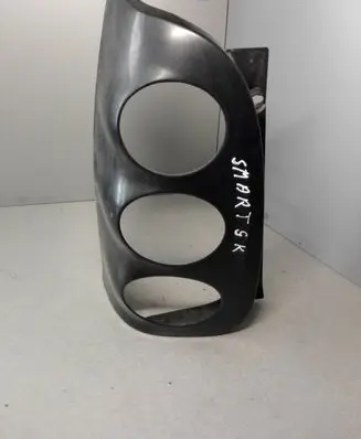 Rear/tail light trim molding