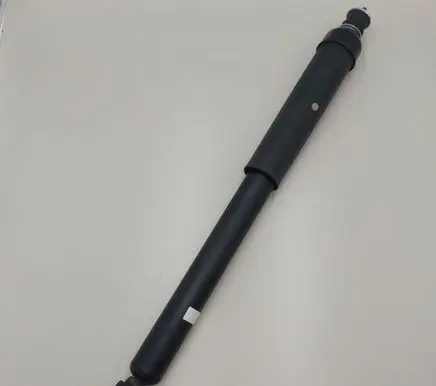 Nissan Leaf II (ZE1) Rear shock absorber/damper 562105SJ1A
