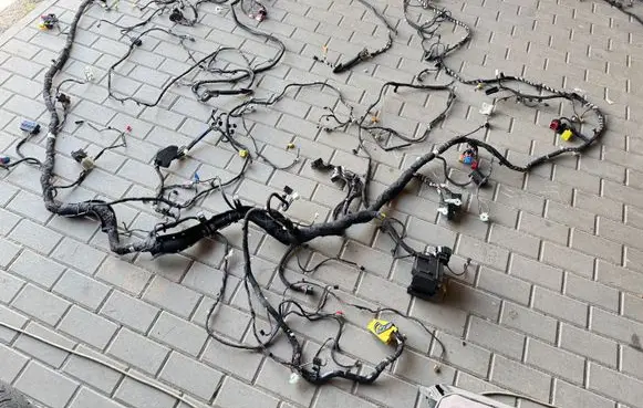 Volkswagen ID.4 Wiring harness 1EA971658