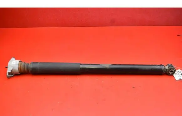 Rear shock absorber/damper
