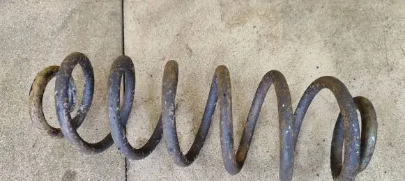 Volkswagen PASSAT B6 Rear coil spring