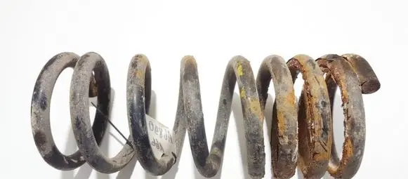 KIA Carnival Rear coil spring