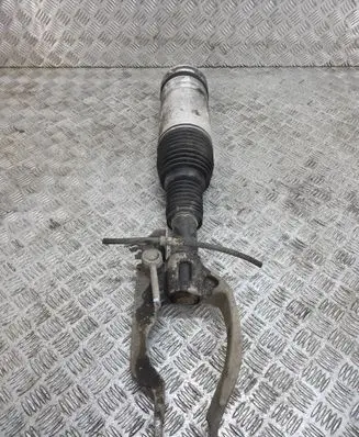 Land Rover Range Rover Sport L494 Air suspension front shock absorber DPLA3C285BH