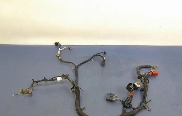 Ford Mustang VI Other wiring loom GR3T14B060DG