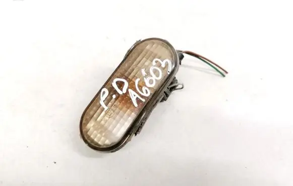 Front fender indicator light
