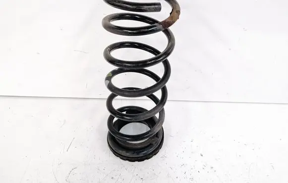Rear coil spring