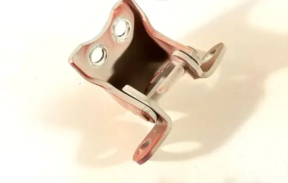 Honda Civic IX Front door lower hinge 