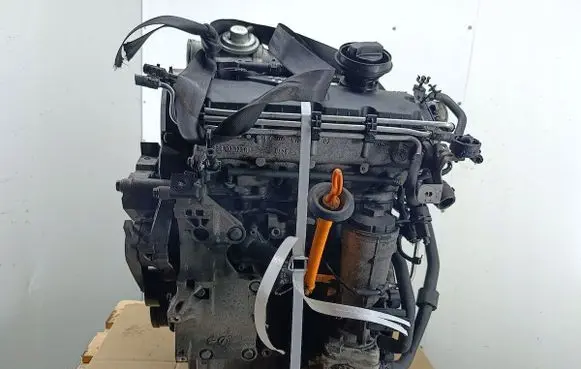 Volkswagen PASSAT B6 Engine BKC
