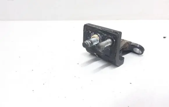 Volkswagen PASSAT B5 Tailgate/trunk/boot hinge 3B9827301D