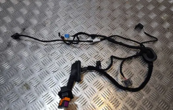 Volkswagen PASSAT B7 USA Rear door wiring loom 561971694AN