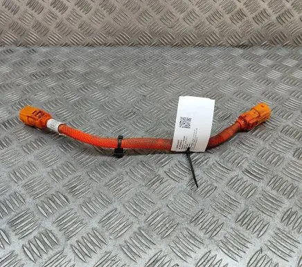 Audi E-tron GT Other wiring loom 9J1971059A