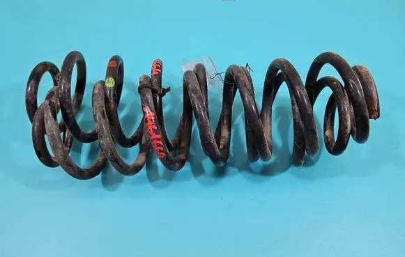 Rear coil spring