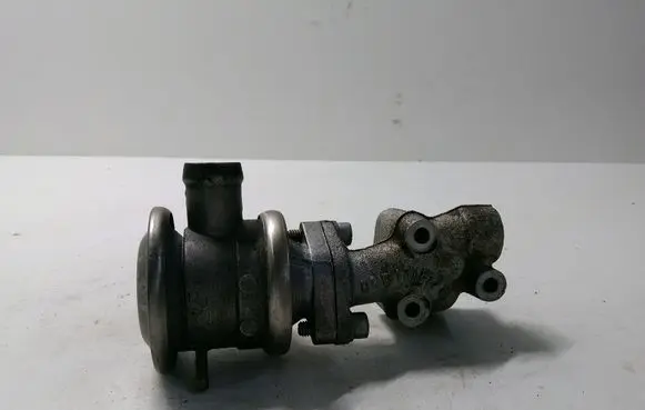 EGR valve
