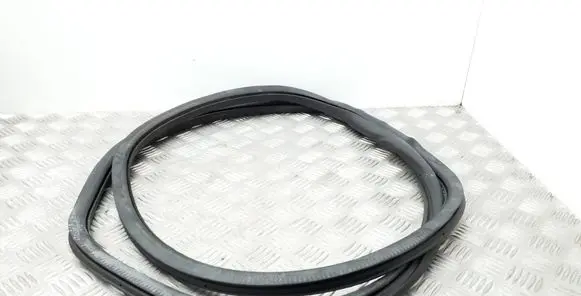 Rear door rubber seal (on body)