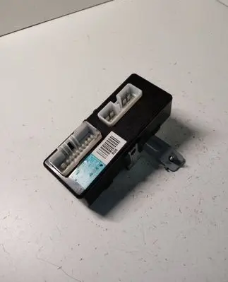 Hyundai Santa Fe Other control units/modules 952302B220
