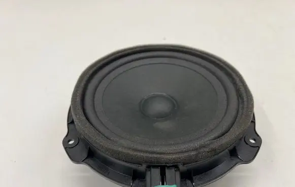 Ford Mustang Mach-E Front door speaker LJ8T18808BA GPB6P 8941048801A