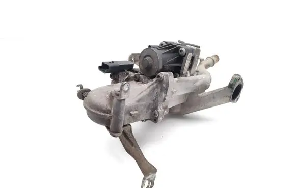 Citroen C4 II EGR valve 702209080 5.05639.03