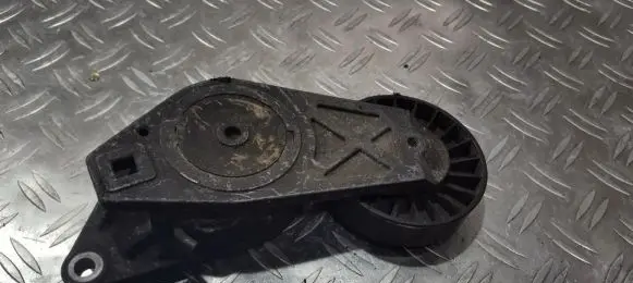 Peugeot 406 Generator/alternator belt tensioner 9626365280