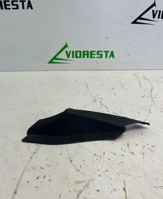 Fender trim (molding)