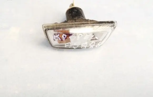 Front fender indicator light