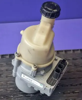 Dacia Duster Power steering pump 491108300R