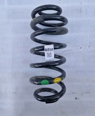 Ford Ecosport Rear coil spring GN155560J4D