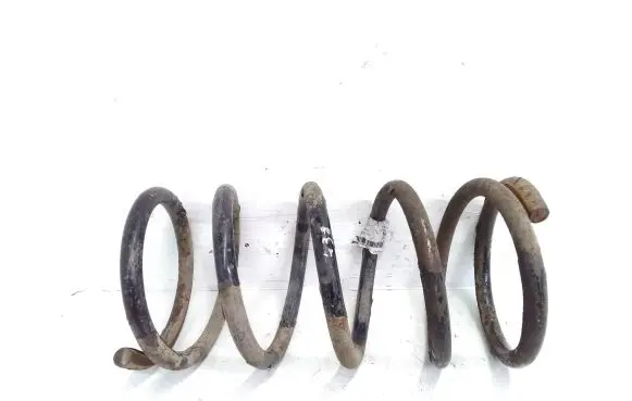 KIA Carnival Front coil spring
