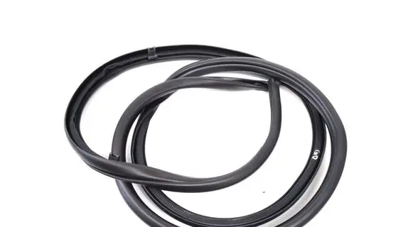 Lexus NX Rubber seal rear door 