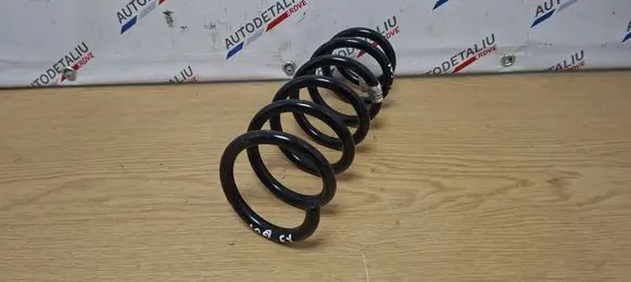 Rear coil spring