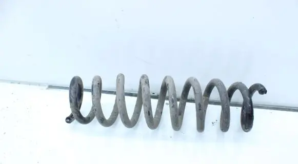 Rear coil spring