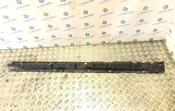 BMW X6 E71 Sill supporting ledge 7176231