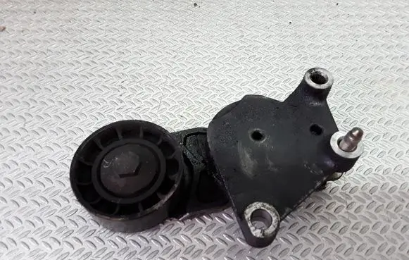 Peugeot 307 Generator/alternator belt tensioner