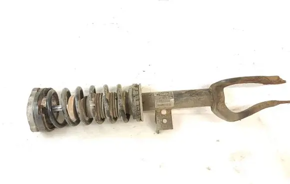 Front shock absorber with coil spring