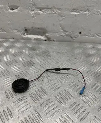 BMW X5 E70 Panel speaker 6949736