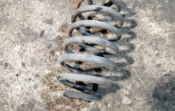 Opel Zafira A Rear coil spring