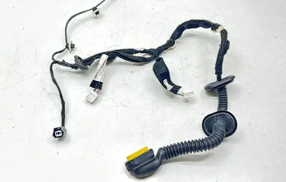 Rear door wiring loom