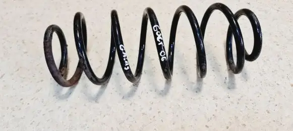 Rear coil spring
