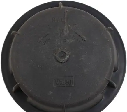Renault Laguna II Headlight/headlamp dust cover 89001146