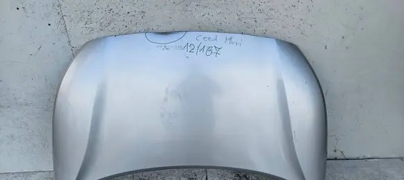 Engine bonnet/hood