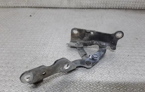 Hyundai Grandeur Engine bonnet/hood hinges