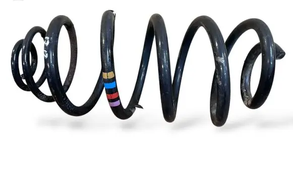 Rear coil spring