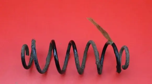 Skoda Octavia Mk2 (1Z) Rear coil spring