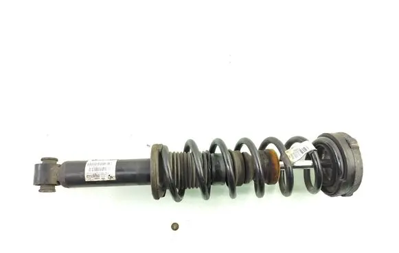 BMW X3 F25 Rear shock absorber with coil spring 6796317