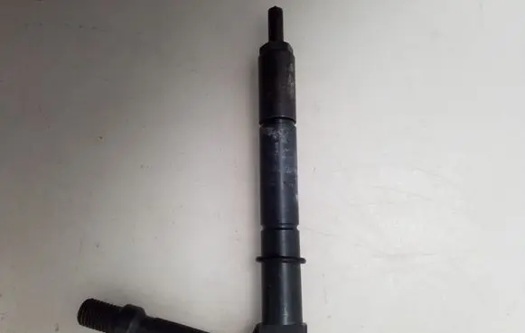 Nissan Almera Tino Fuel injector Z484391