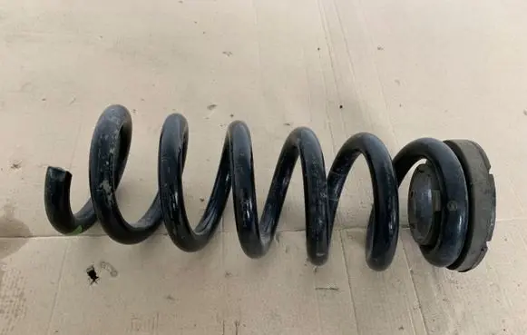 Ford Mustang V Rear coil spring