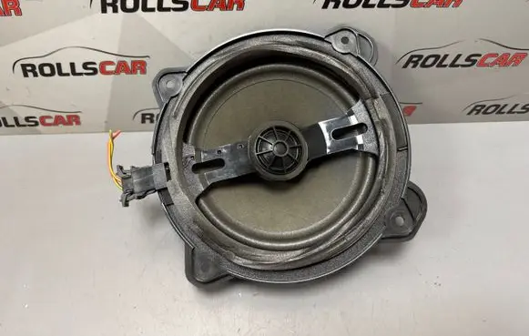 Rear door speaker