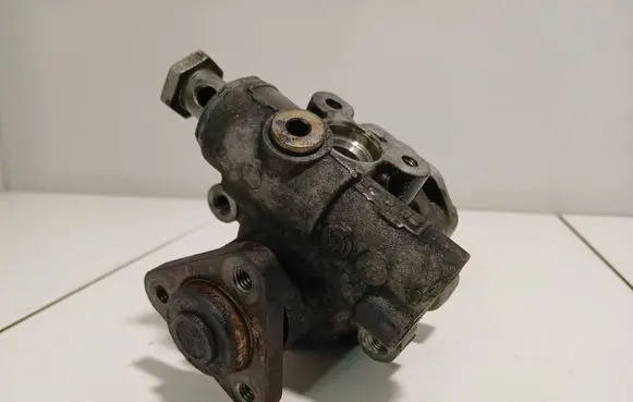 Volkswagen Phaeton Power steering pump 3D0422154F