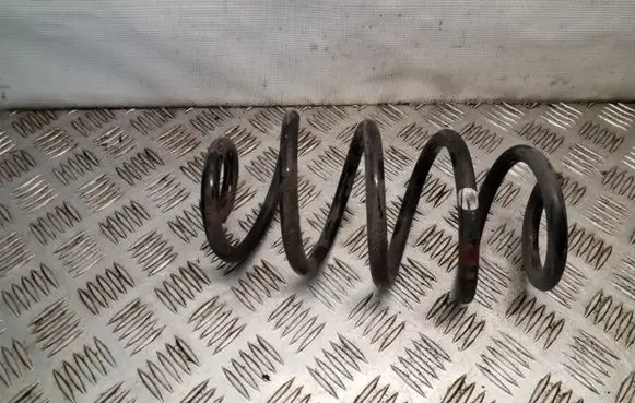 Nissan Juke I F15 Rear coil spring